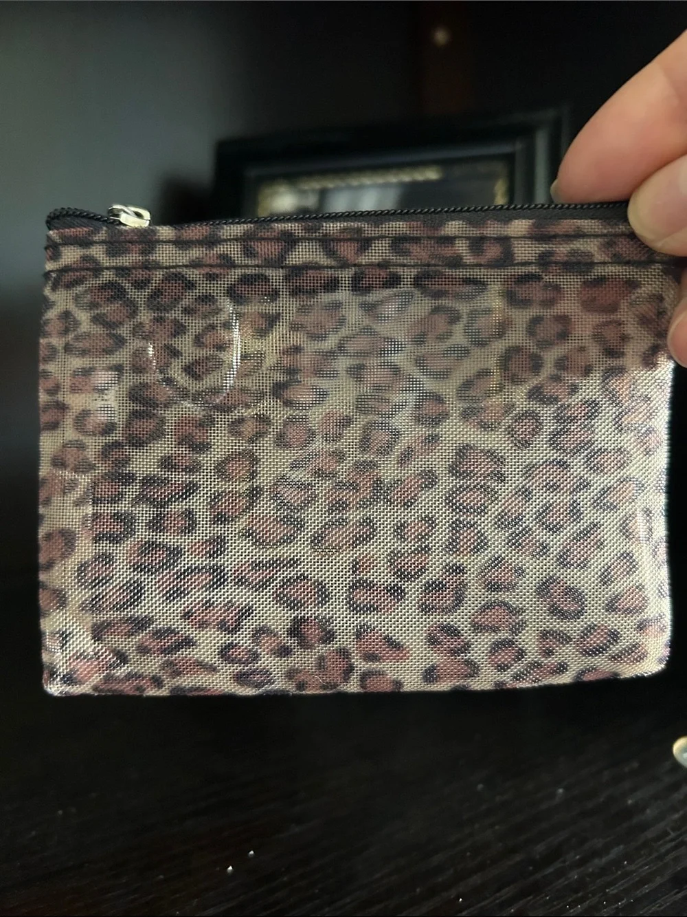 Source Unknown mesh coin